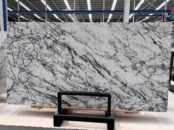 Ink White Marble